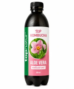 BIO KOMBUCHA ALOE VERA 500 ML
